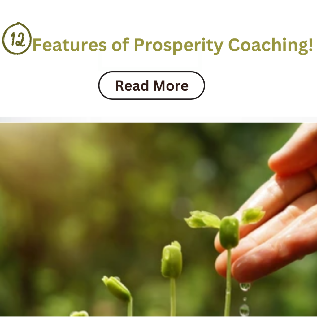 12 Features of Prosperity Coaching